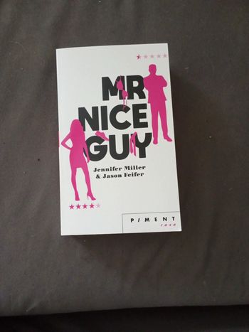 Mr Nice Guy