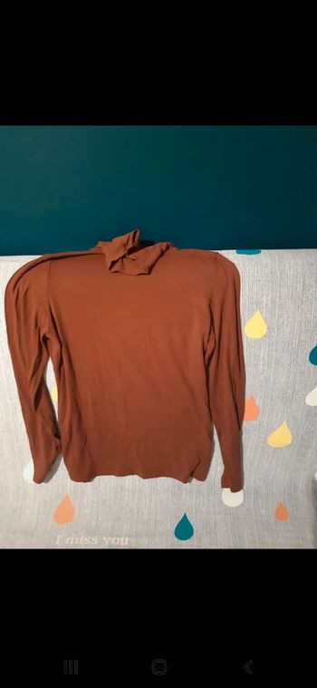 Pull col roulé camaïeu taille 4