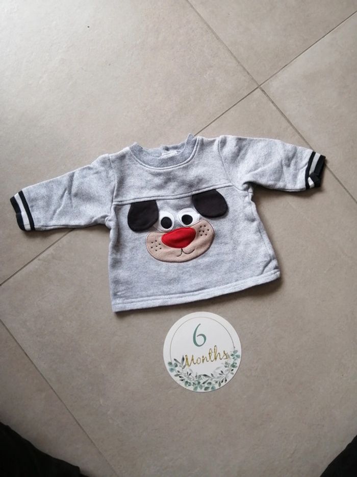Sweat chien 6 mois