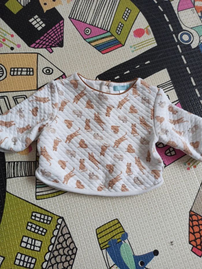 Pull blanc et beige chat