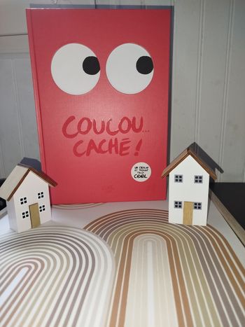 📚  Little Urban  Un cherche et trouve Coucou caché trop cool