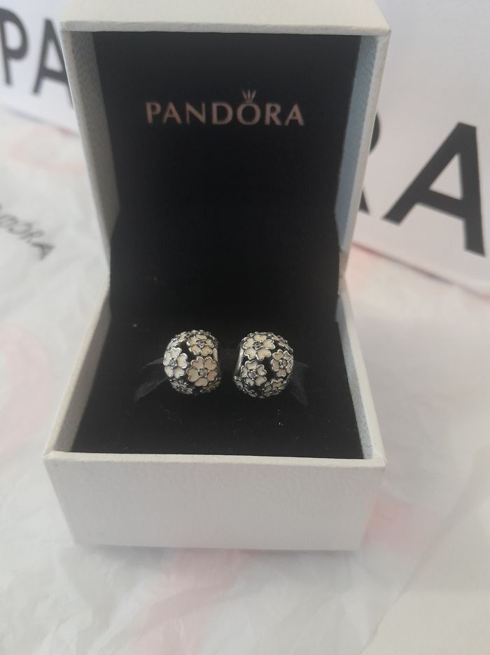 2 charms Pandora - photo numéro 4