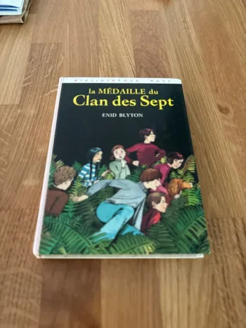Roman enfant le clan des sept