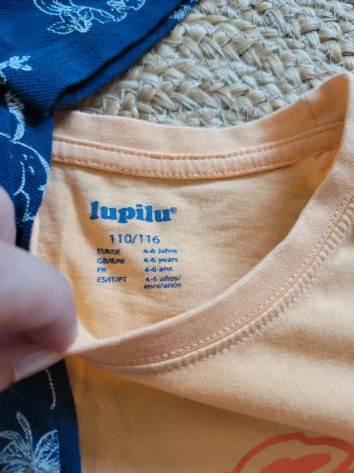 Lot hauts 6a - photo numéro 3