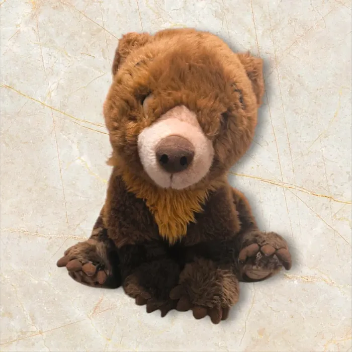 Peluche frère des ours 🐻"Kinai" Disneyland Paris - photo numéro 2