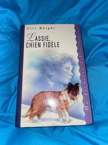 L’assie, chien fidèle