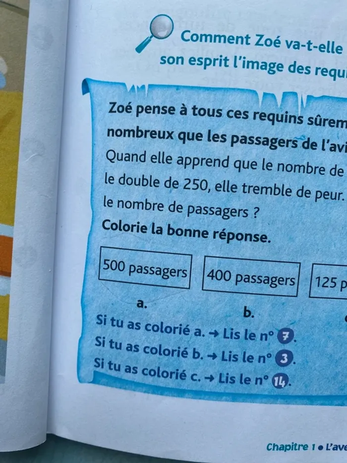 Livre l’énigme des vacances menace sur Madagascar - photo numéro 6