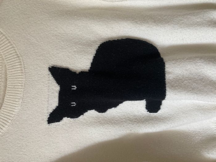 pull maille loose et court motif chat noir - photo numéro 2