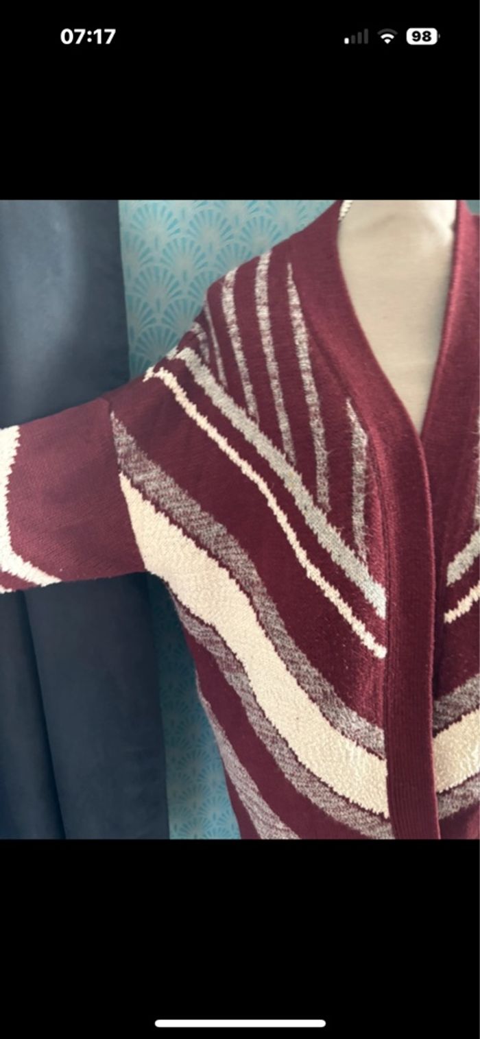 Gilet chaud - photo numéro 2