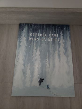 Livre quelque part dans la neige