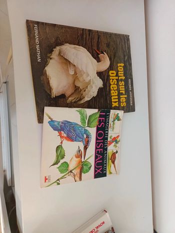 Tout sur les oiseaux