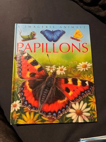 Livre pour enfants la grande imagerie fleurus les papillons