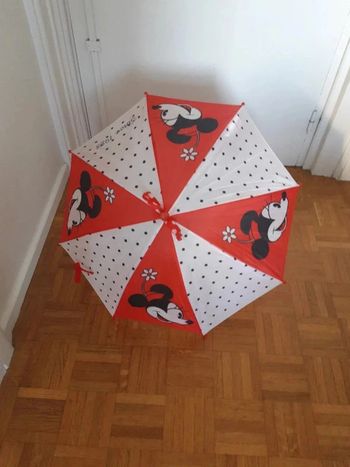 Parapluie Minnie orchestra since 1928