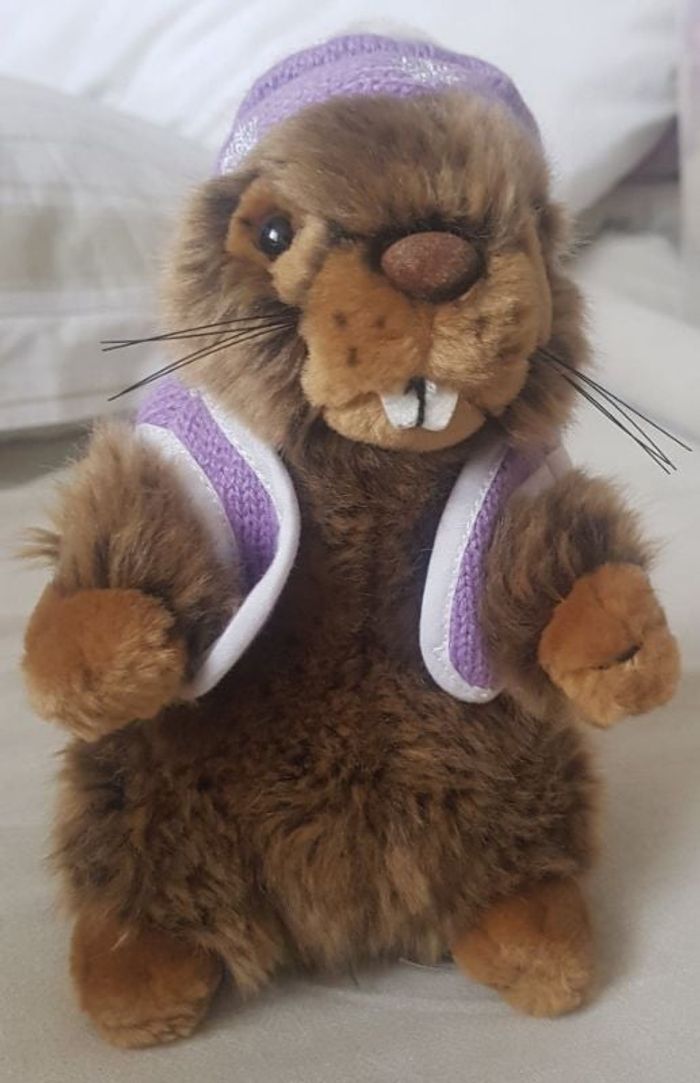 peluche marmotte tenue hiver