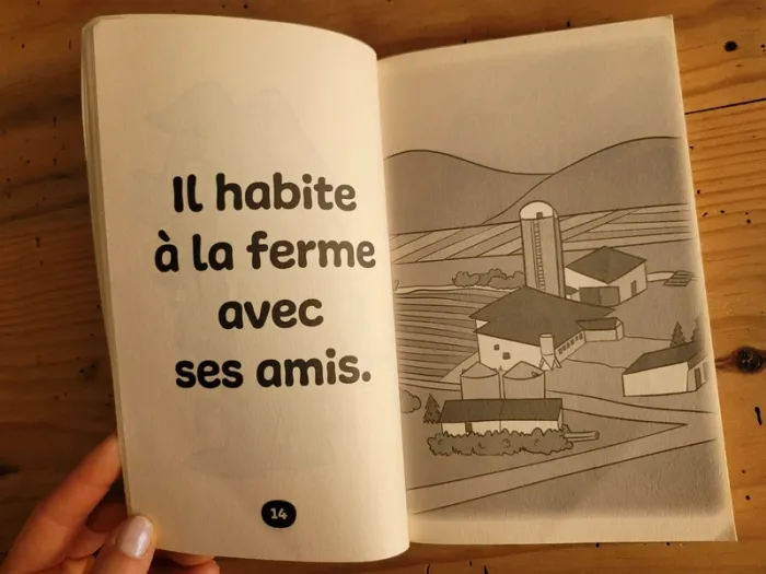 Livre pour première lecture - photo numéro 5