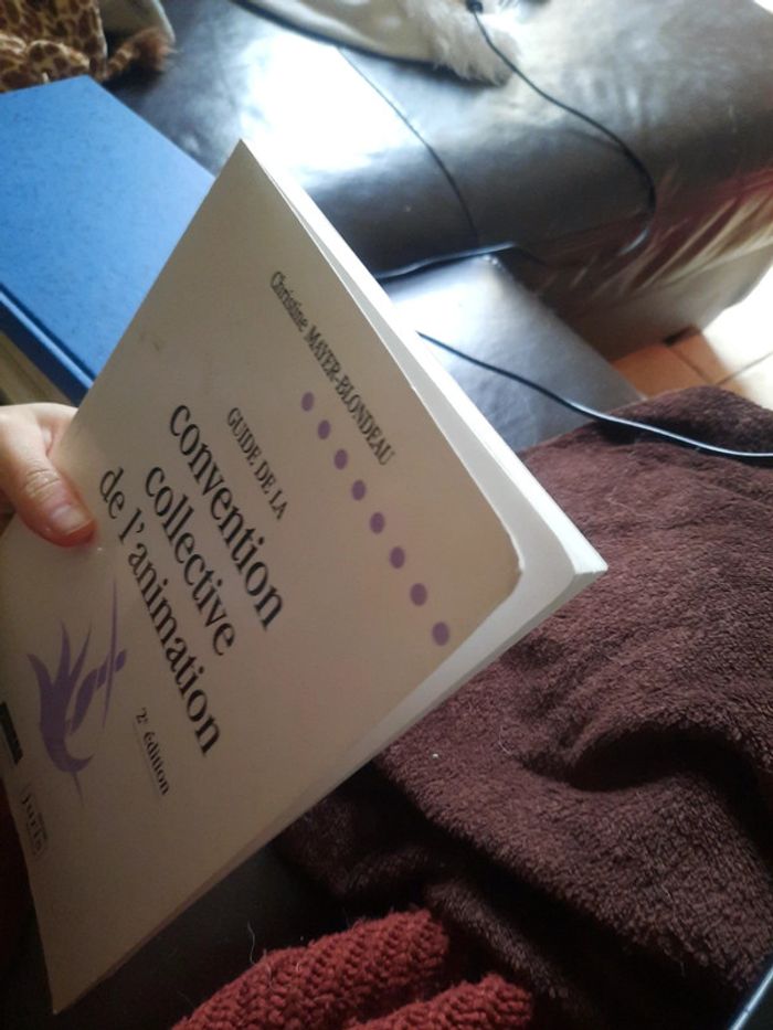 Ĺivre guide de la convention collective de l'animation pr d - photo numéro 5