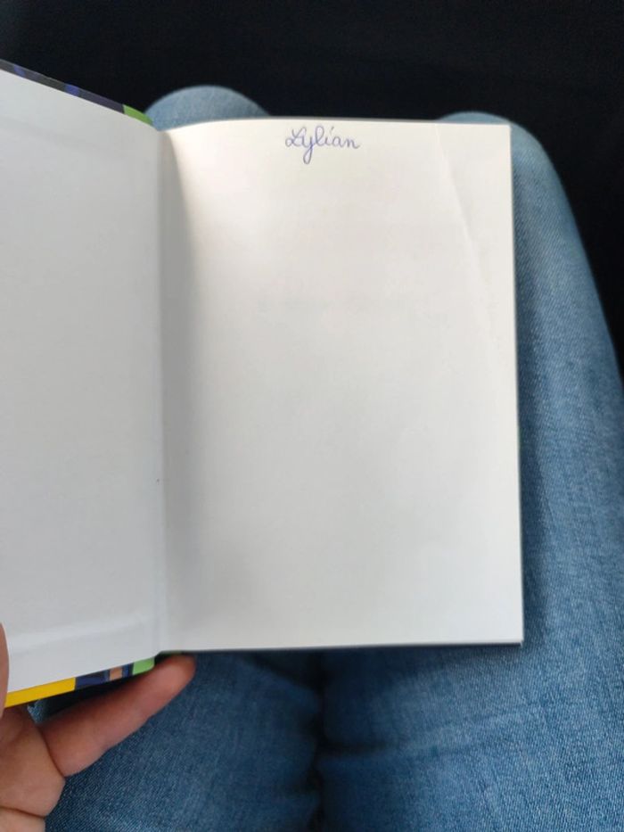 Livre pokémon soleil et lune - photo numéro 2