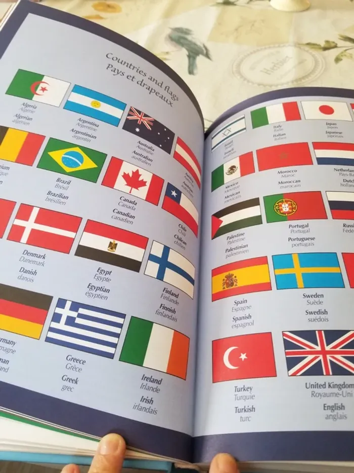 Mon dictionnaire d' Anglais 304 pages - photo numéro 8