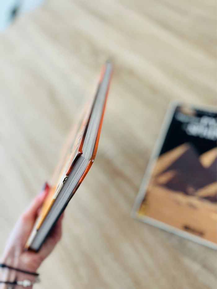 Lot de 2 livres égyptiens et pyramides - photo numéro 7