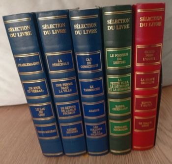 Lot livres couvertures style ancien