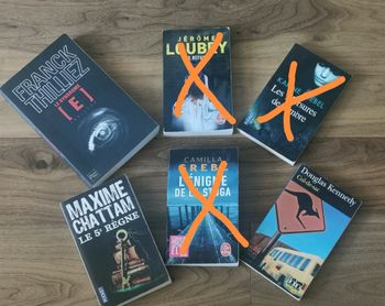 Lot de Thrillers