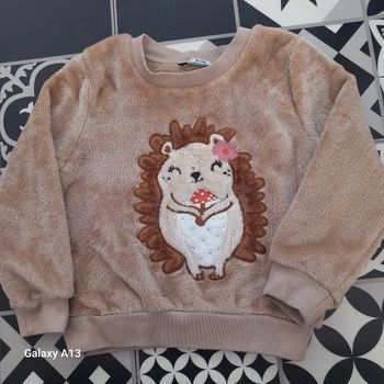 Pull hérisson 