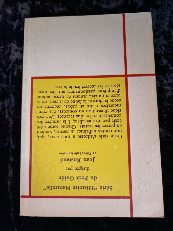 Petit guide coquillages - photo numéro 5