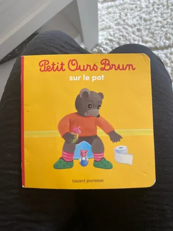 Livre petit ours brun