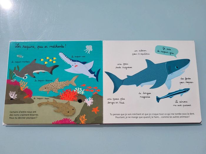 Beau livre animé 🦀 Mes animaux des mers 🐬 à toucher 🦐 Milan Jeunesse (72) - photo numéro 9