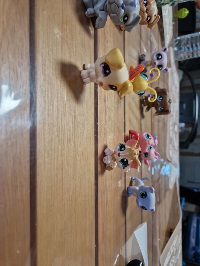 Lot petshop (7) - photo numéro 2