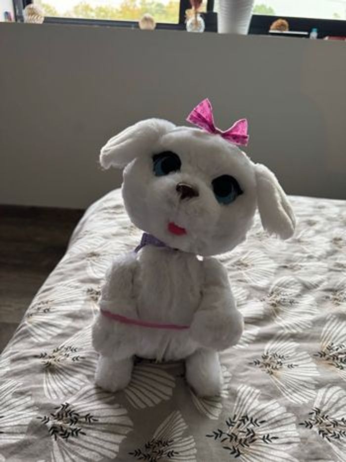 Chien interactif - photo numéro 3