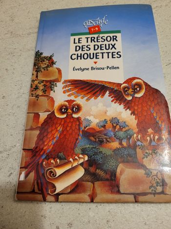 Livre le trésor des chouettes