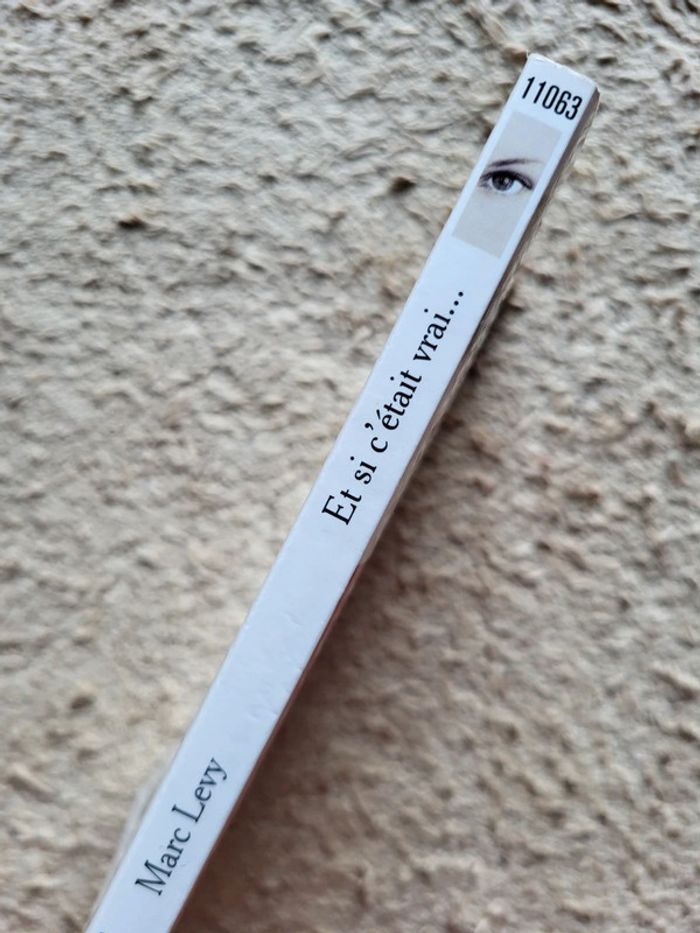 Livre Et si c'était vrai de Marc Levy - Best seller mondial - photo numéro 4