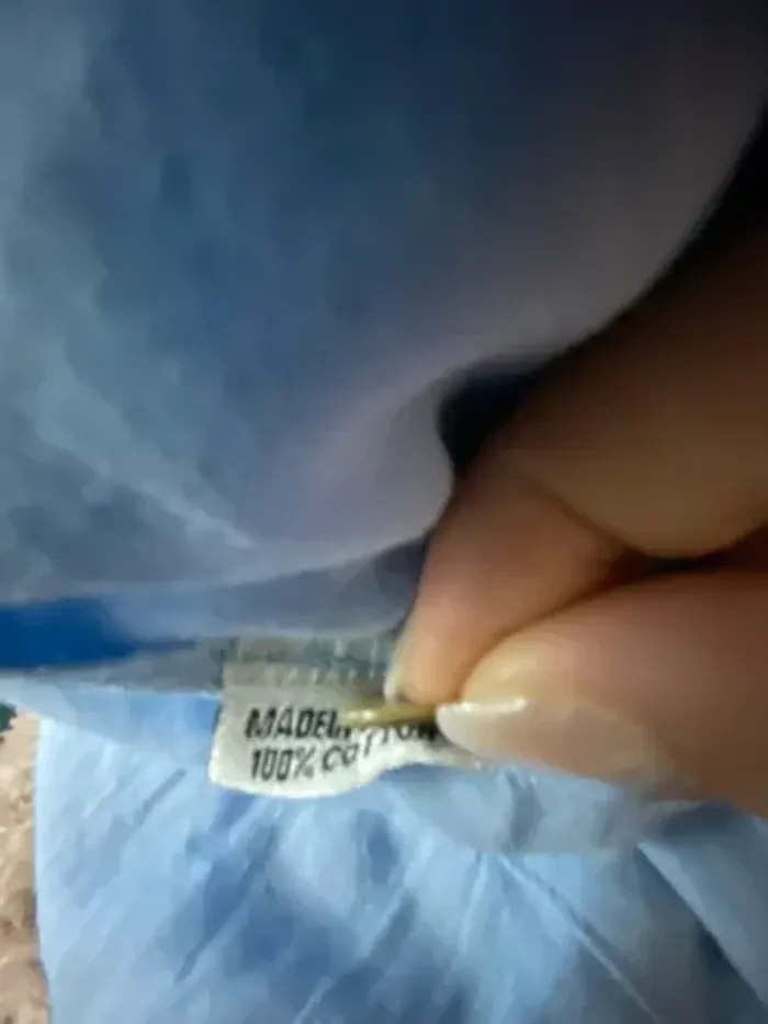 Chemise coton bleu clair A Land of Cotton - photo numéro 8