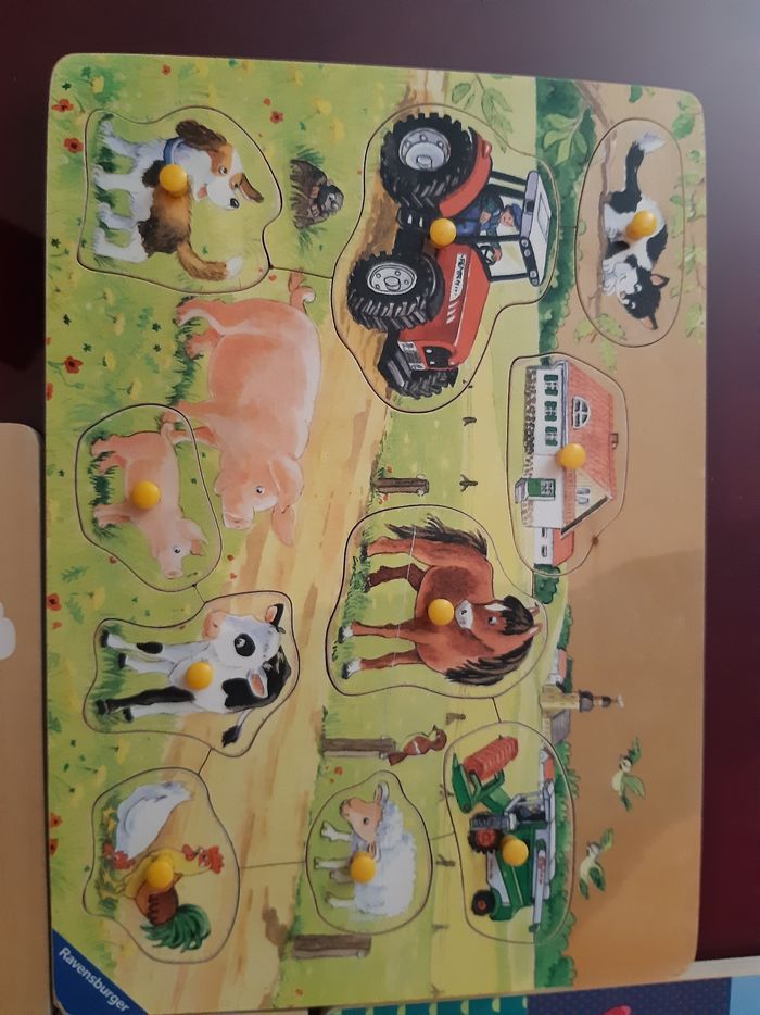 5 puzzles en bois - photo numéro 5