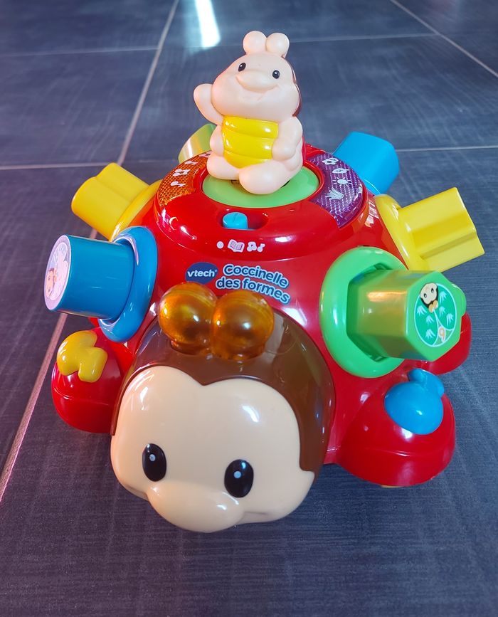 Coccinelle des formes