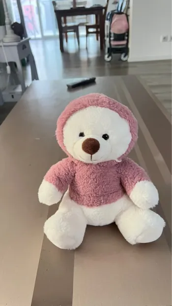 Nounours à capuche