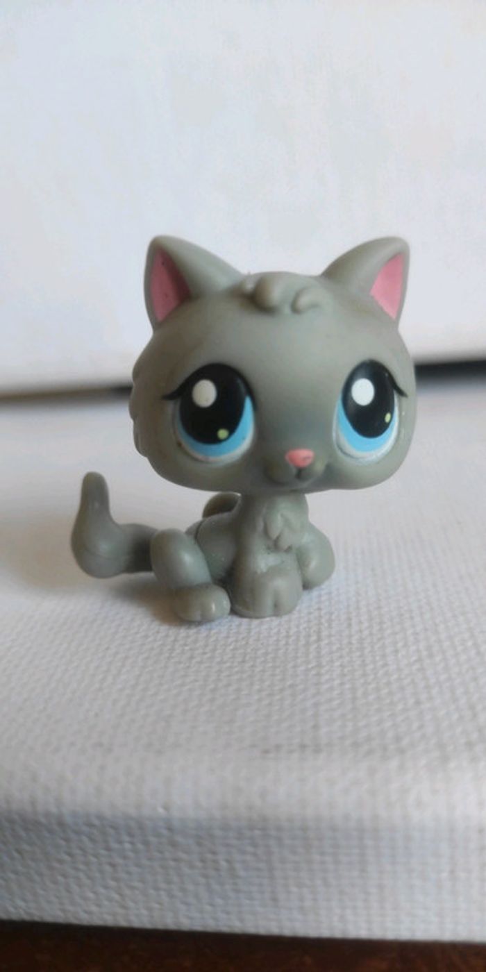 My littlest petshop chat snowshoe 270