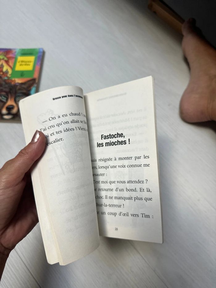 Lot de deux livres lire c’est partir l’oiseau de feu et grosse peur dans l’ascenseur - photo numéro 9