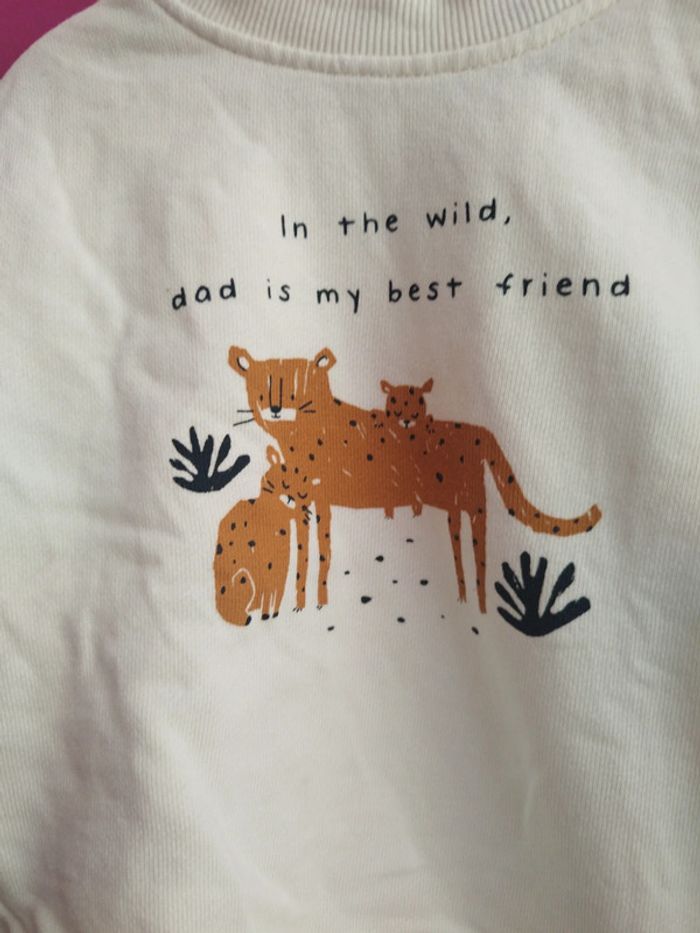 Sweat fin b1 - photo numéro 2