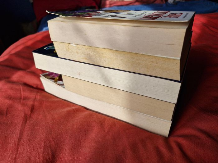 Saga Tara Duncan 5 tomes - photo numéro 5