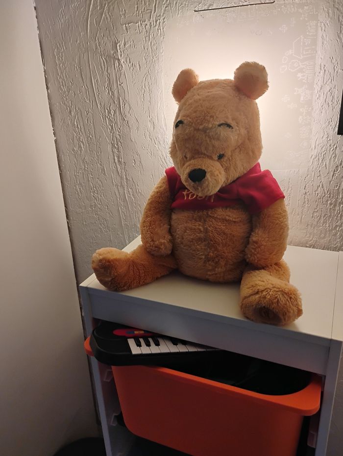 Winnie peluche - photo numéro 2