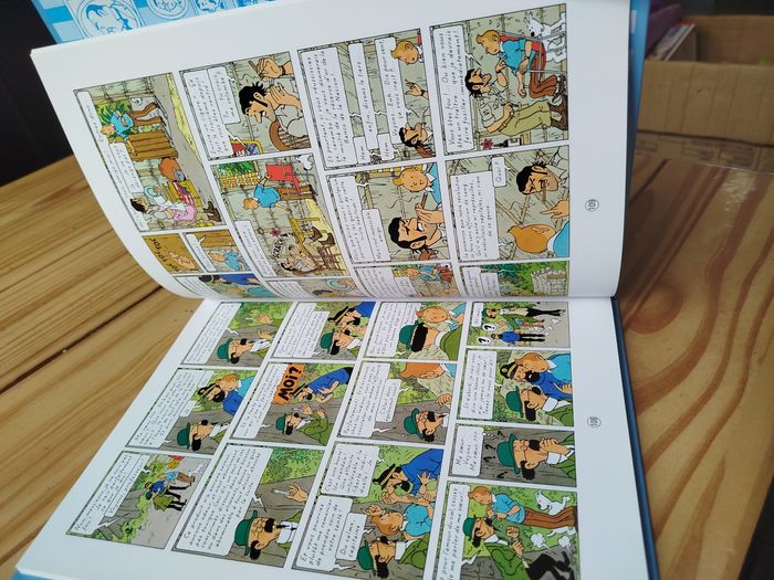 Album double tintin - photo numéro 5