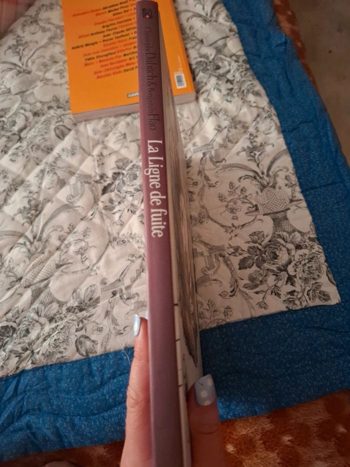 La ligne de fuite - photo numéro 2