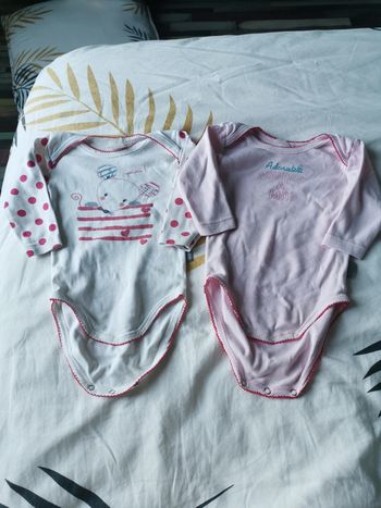 Lot 2 bodies absorba