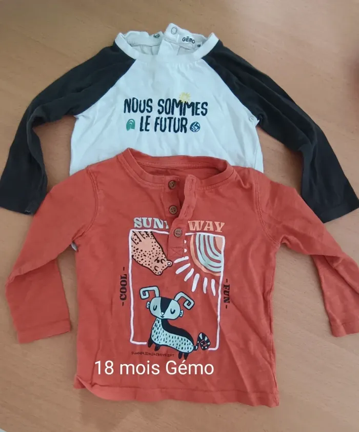 2 tee shirts