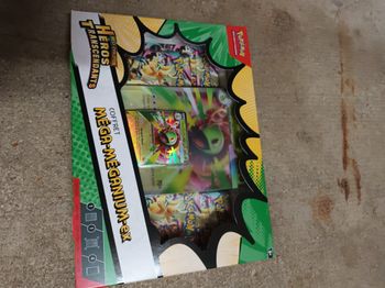 Coffret meganium Héros Transcendants 