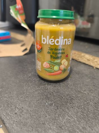 Bledina 