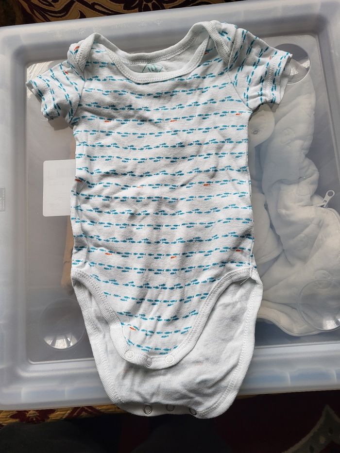 Lot de bodies 6 mois - photo numéro 7