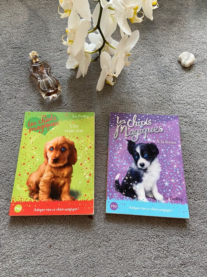 Lots de livres 📚🌺 - photo numéro 2